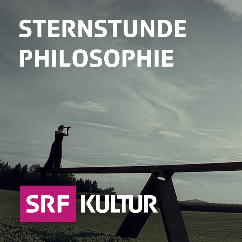 SRF Sternstunde Philosophie – Mannsein heute – Zwischen Stärke und toxischer Männlichkeit